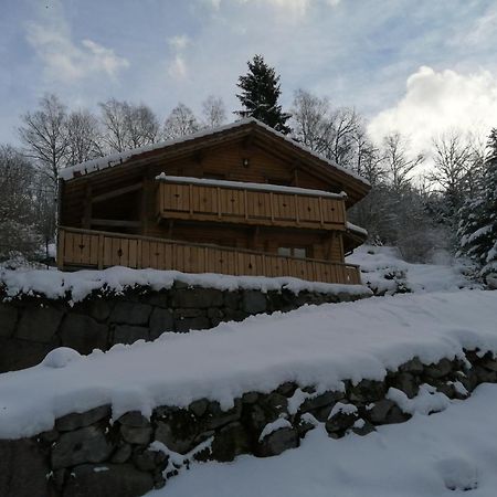 Chalet Typique Vosgien "Les Barbotines" Ventron Exterior photo